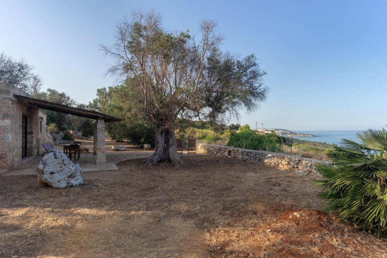 Levante E Libeccio Villette Vista Mare - Marina Di 안드라노 외부 사진