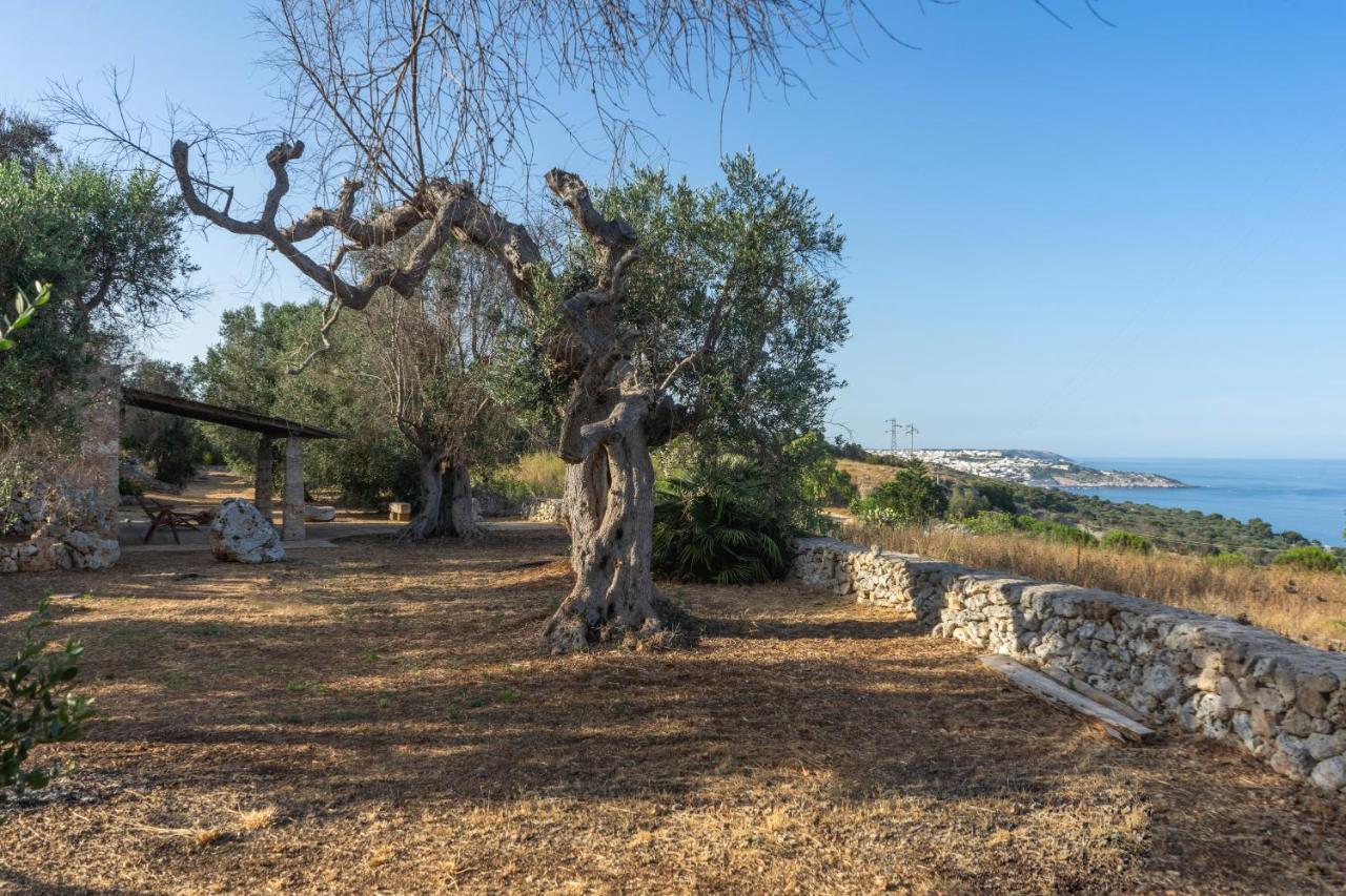 Levante E Libeccio Villette Vista Mare - Marina Di 안드라노 외부 사진