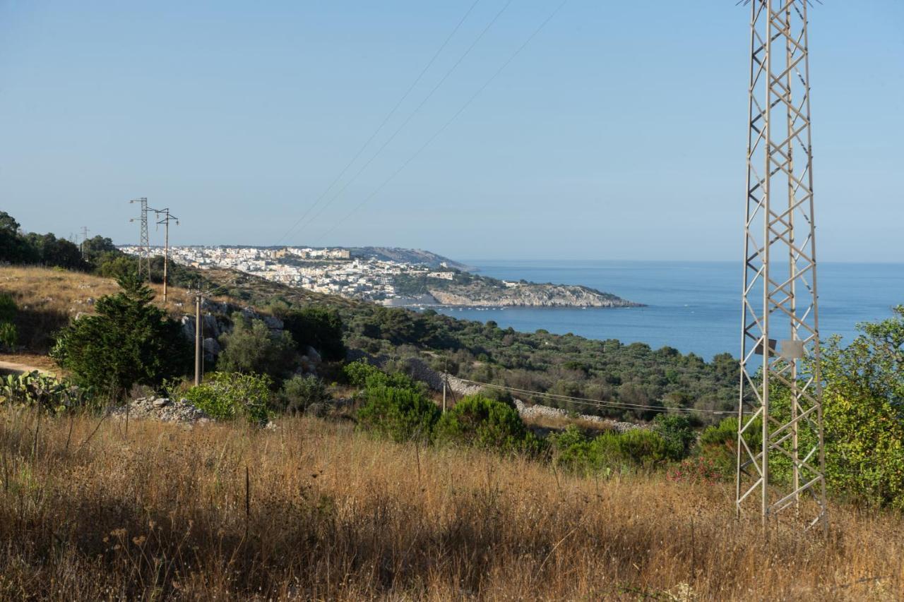 Levante E Libeccio Villette Vista Mare - Marina Di 안드라노 외부 사진